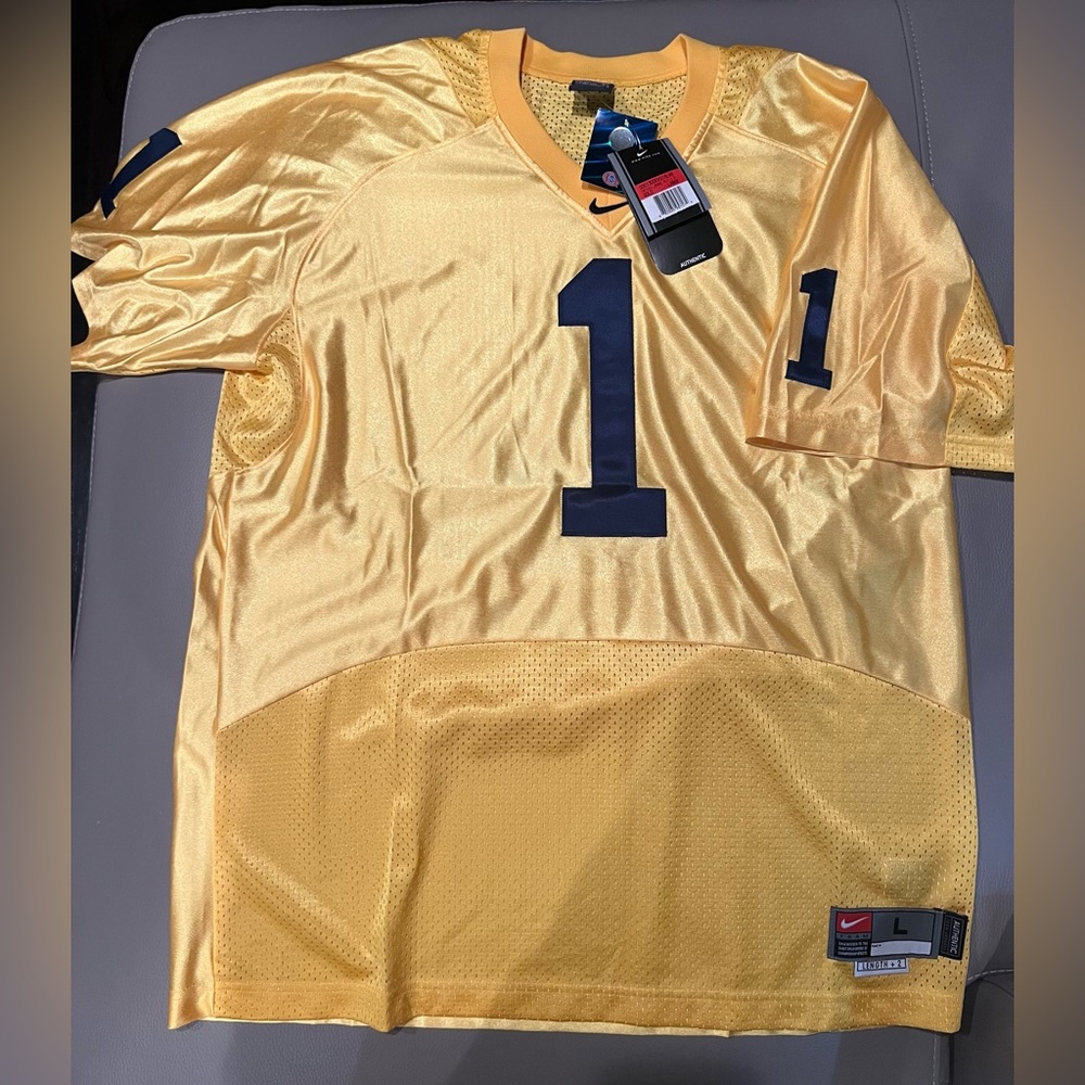 NWT Vintage Michigan Wolverines Jersey Mens Large Jersey Yellow Blue